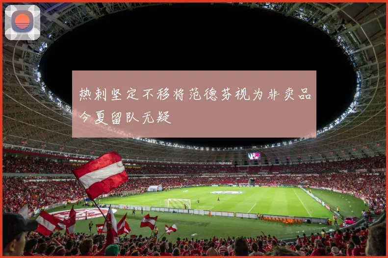 热刺坚定不移将范德芬视为非卖品今夏留队无疑